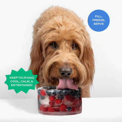 Freeze Your Own Dog Treat Bowl