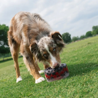 Freeze Your Own Dog Treat Bowl