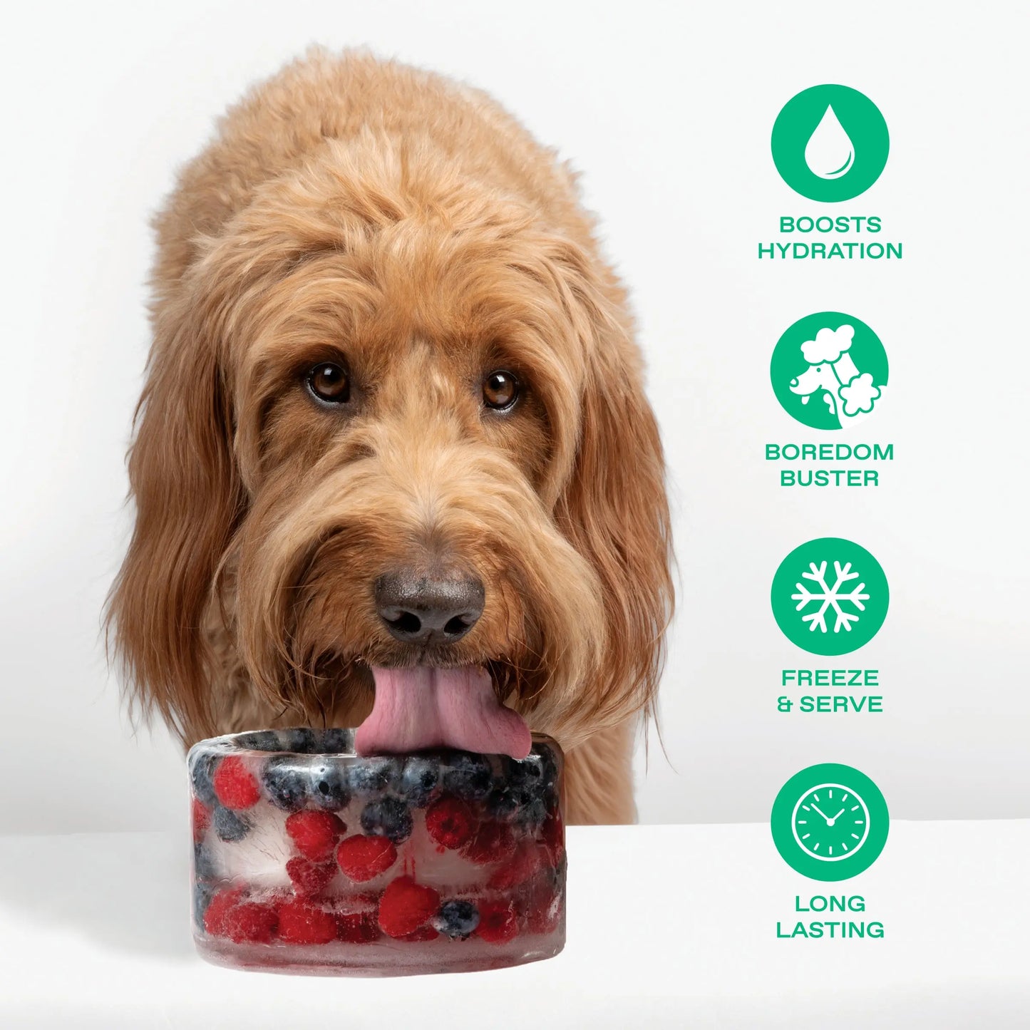 Freeze Your Own Dog Treat Bowl