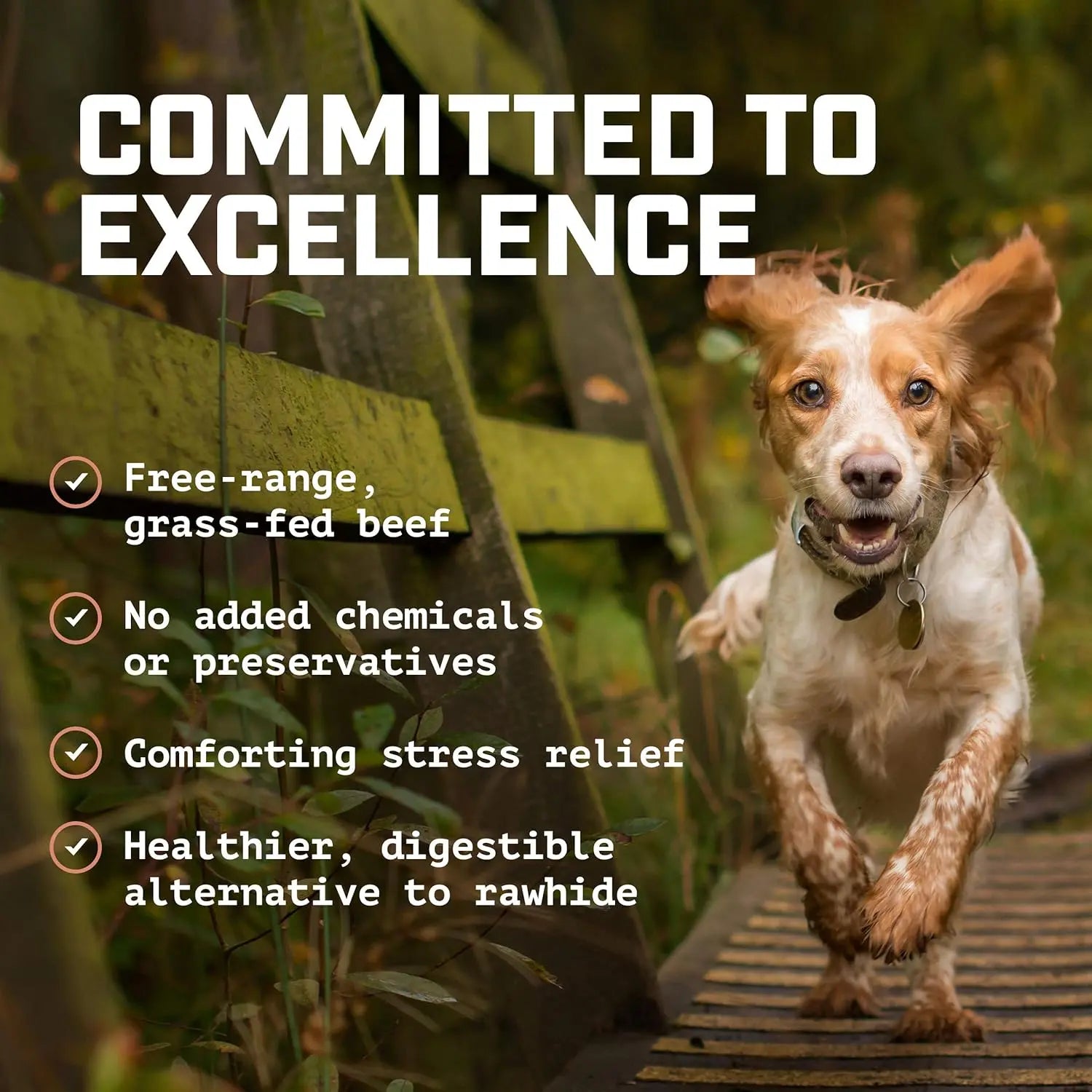 Beef Cheek Strip Dog Treats – 100% Natural Beef Chews