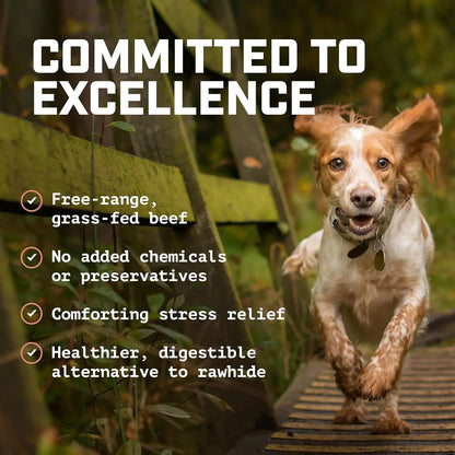 Beef Cheek Strip Dog Treats – 100% Natural Beef Chews