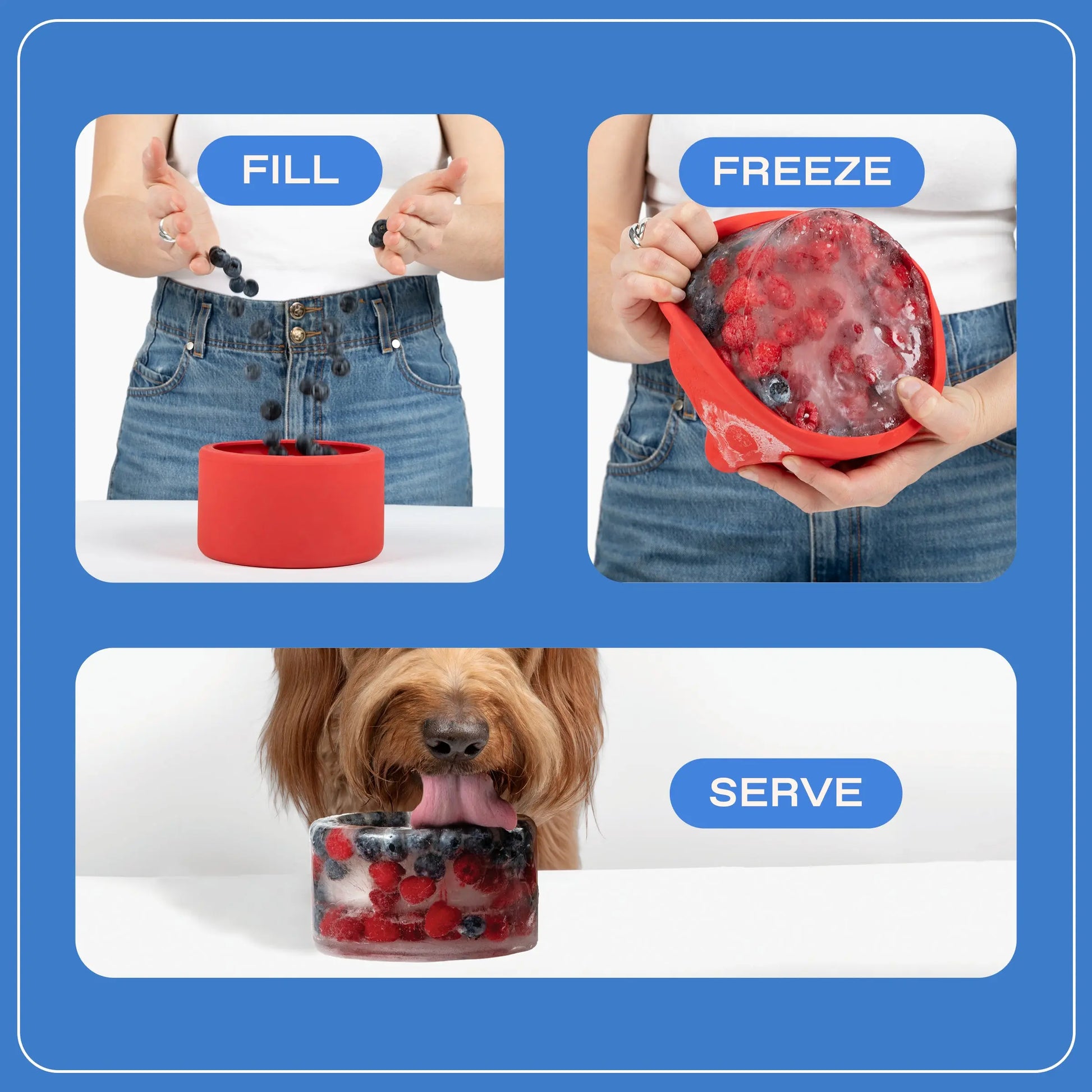 Freeze Your Own Dog Treat Bowl